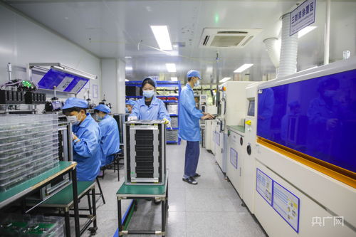 福州新能源產業加速技術研發，構建綠色經濟新引擎