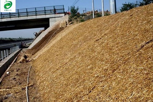 白銀市延鑫直銷 生態毯護坡發貨快，廠家直銷助力綠色建設