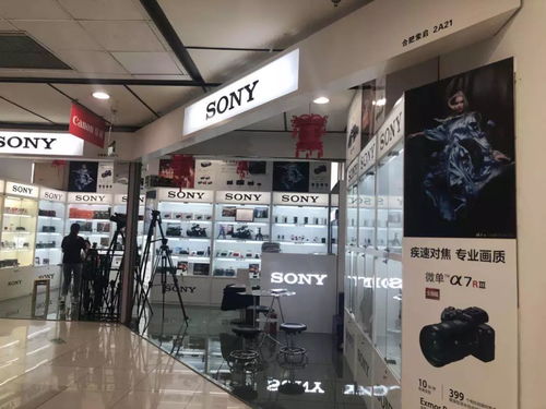 夏日激情背后的財(cái)務(wù)智慧 為何我們敢于在酷暑中“浪”