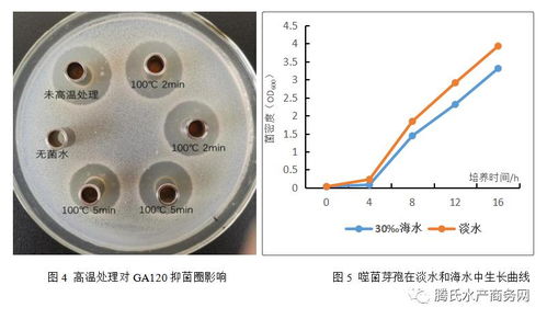 根源集團(tuán)益倍康GA120 開(kāi)啟生物抑菌新紀(jì)元