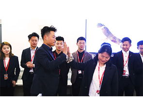 山東鼎基信息技術(shù) 深耕臨沂網(wǎng)站建設(shè)與網(wǎng)絡(luò)推廣，助力企業(yè)實(shí)現(xiàn)數(shù)字化騰飛