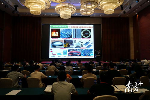 技術推廣會與高質量發展論壇在陽江高新區成功舉辦，共繪產業升級新藍圖